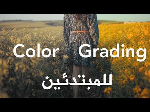 كيفية تعديل الألوان بشكل سريع للمبتدئين | Color grading Premiere Pro beginners