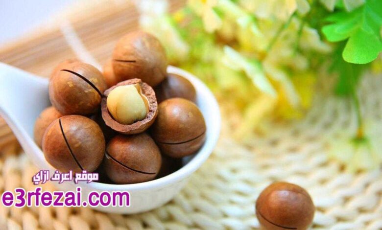 اعرف الفوائد المذهلة من تناول المكسرات