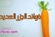 فوائد الجزر العديدة