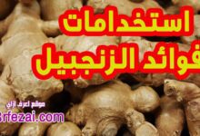 اعرف استخدامات وفوائد الزنجبيل