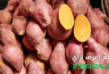 اعرف فوائد البطاطا الحلوة الصحية