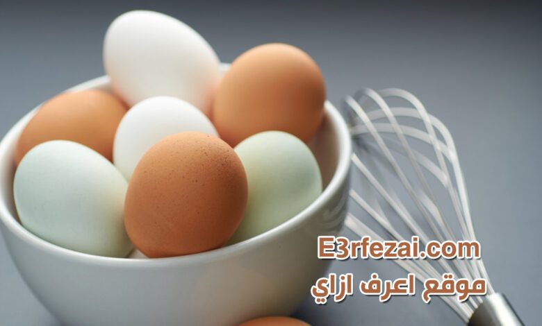 فوائد تناول بيضة واحدة في اليوم