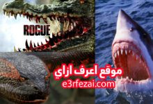 أفضل أفلام أجنبية عن حيوانات مفترسة