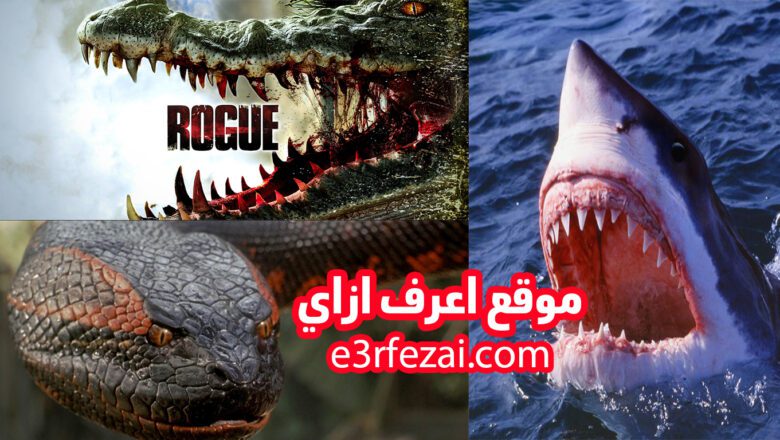 أفضل أفلام أجنبية عن حيوانات مفترسة