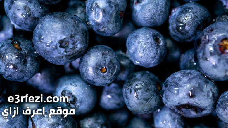 اعرف الفوائد المدهشة لتناول البلوبيري