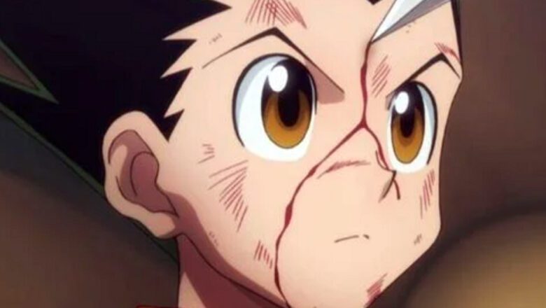 عودة أنمى القناص hunter x hunter
