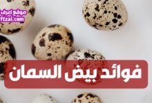 اعرف فوائد بيض السمان وقيمته الغذائية