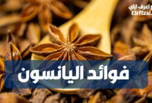 فوائد اليانسون