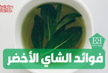 فوائد الشاي الأخضر