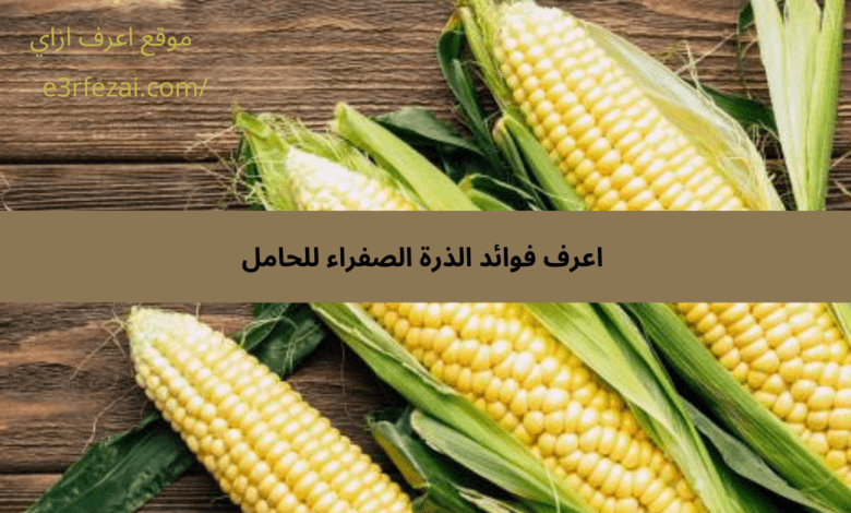 اعرف فوائد الذرة الصفراء للحامل