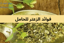 فوائد الزعتر للحامل