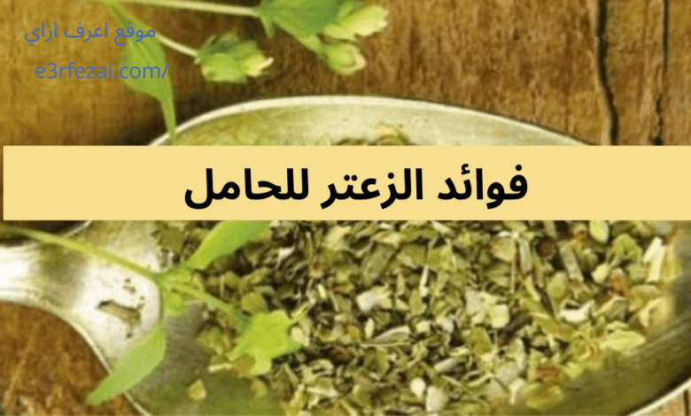 فوائد الزعتر للحامل