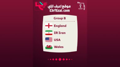 المجموعة الثانية في كأس العالم قطر 2022