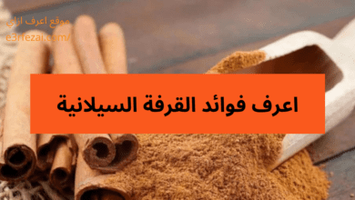 فوائد القرفة السيلانية