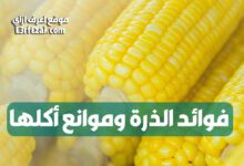 اعرف فوائد الذرة المذهلة وموانع أكلها