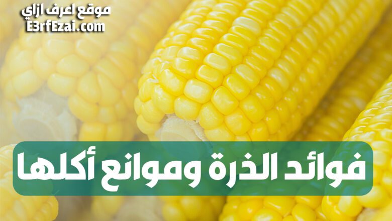اعرف فوائد الذرة المذهلة وموانع أكلها
