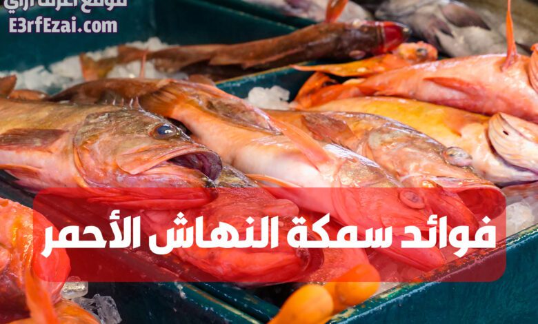 فوائد سمكة النهاش الأحمر المذهلة