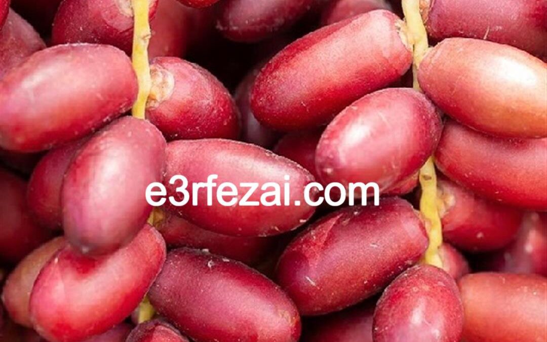 السعرات الحرارية في البلح الأحمر