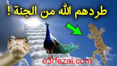 الحيوانات التي طردها الله من الجنة 