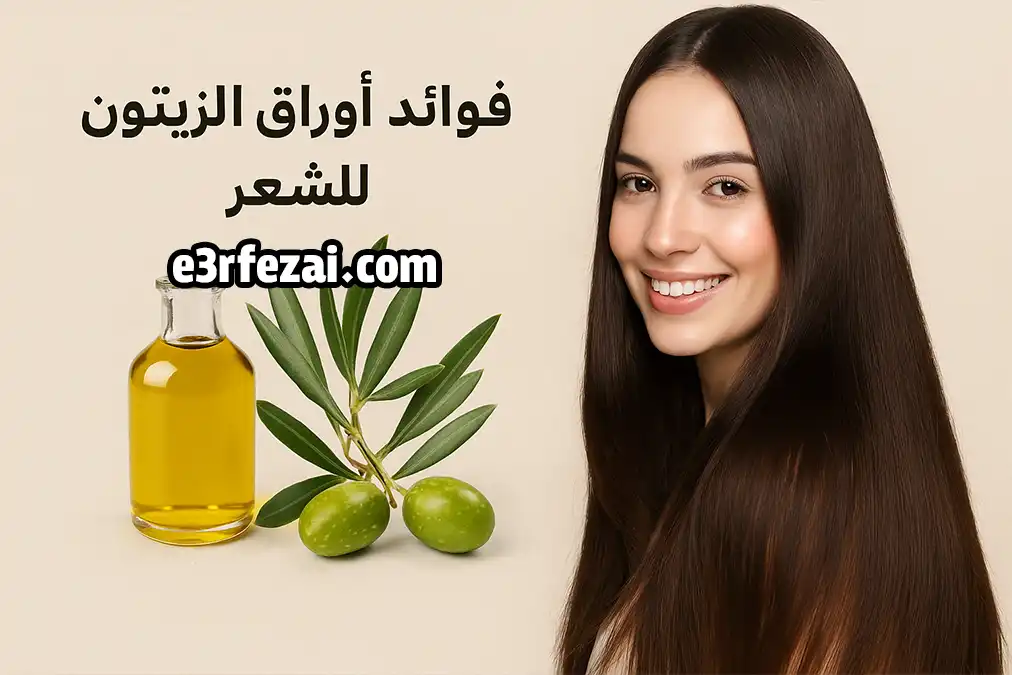 فوائد أوراق الزيتون للشعر